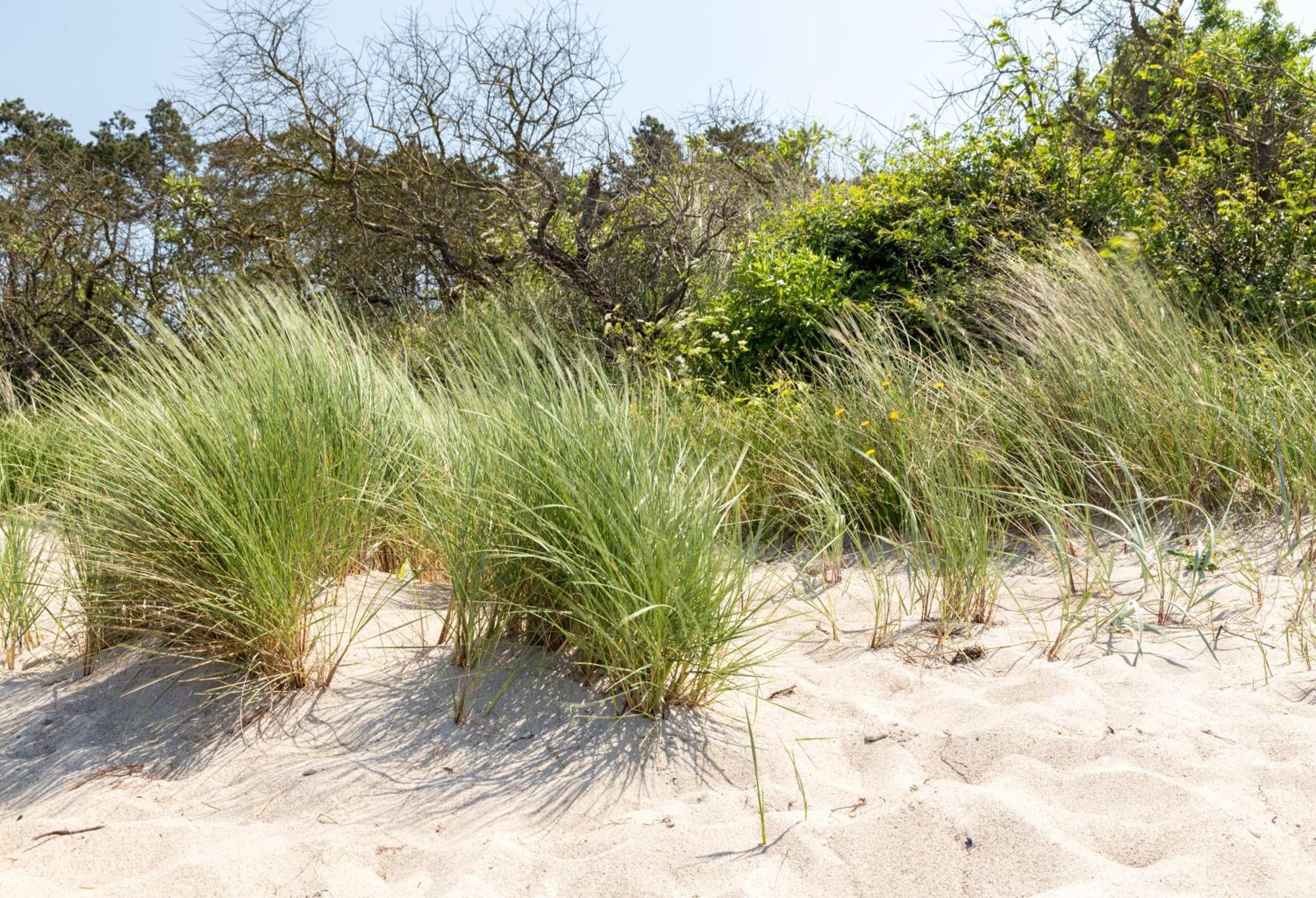 Villa Schmidt - Strandhaus Direkt Am Meer Mit Sauna, Sport Und Duenengarten II Rostock Exterior foto